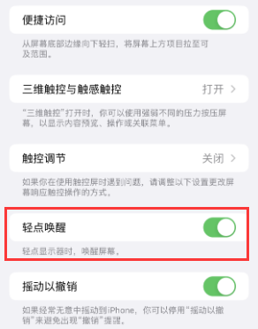 铜仁苹果授权维修站分享iPhone轻点无法唤醒怎么办 