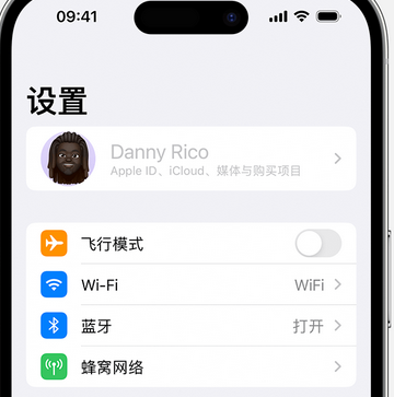 铜仁appleID维修服务iPhone设置中Apple ID显示为灰色无法使用 