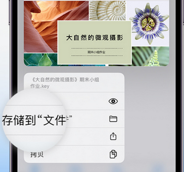 铜仁apple维修中心分享iPhone文件应用中存储和找到下载文件