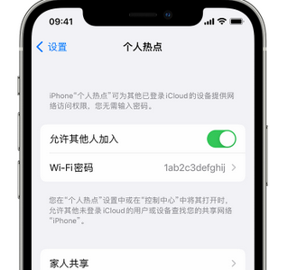 铜仁apple服务站点分享iPhone上个人热点丢失了怎么办 