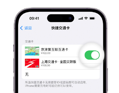 铜仁apple维修点分享iPhone上更换Apple Pay快捷交通卡手绘卡面 