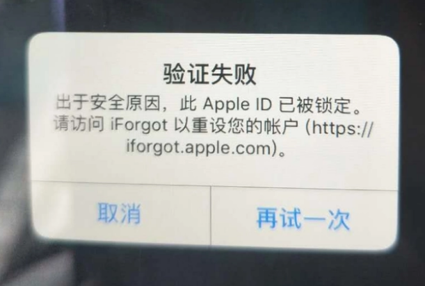 铜仁iPhone维修分享iPhone上正常登录或使用AppleID怎么办 