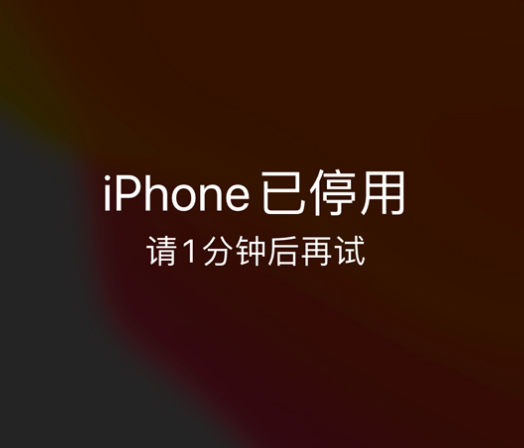 铜仁苹果手机维修分享:iPhone 显示“不可用”或“已停用”怎么办？还能保留数据吗？ 