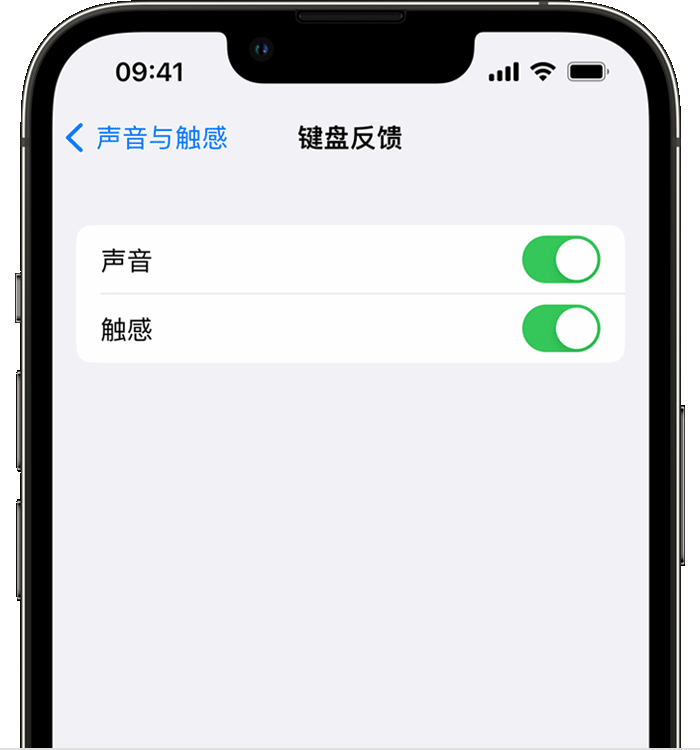 铜仁苹果14维修店分享如何在 iPhone 14 机型中使用触感键盘 