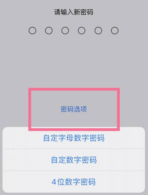 铜仁苹果14维修分享iPhone 14plus设置密码的方法 