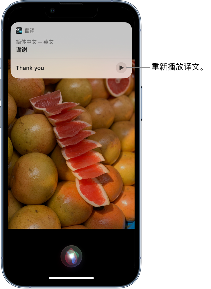 铜仁苹果14维修分享 iPhone 14 机型中使用 Siri：了解 Siri 能帮你做什么 