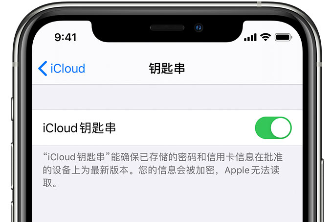 铜仁苹果手机维修分享在 iPhone 上开启 iCloud 钥匙串之后会储存哪些信息 