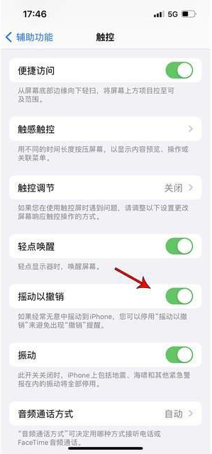 铜仁苹果手机维修分享iPhone手机如何设置摇一摇删除文字 