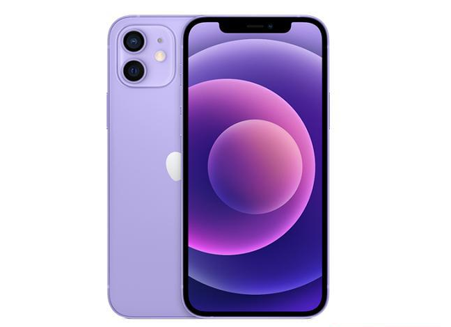 铜仁苹果手机维修分享现阶段要不要入手紫色版iPhone12 