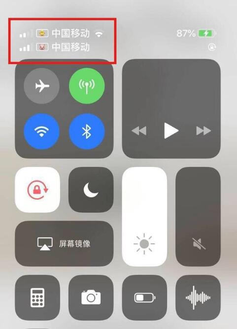 铜仁苹果手机维修分享为 iPhone 12 双卡设置标签 